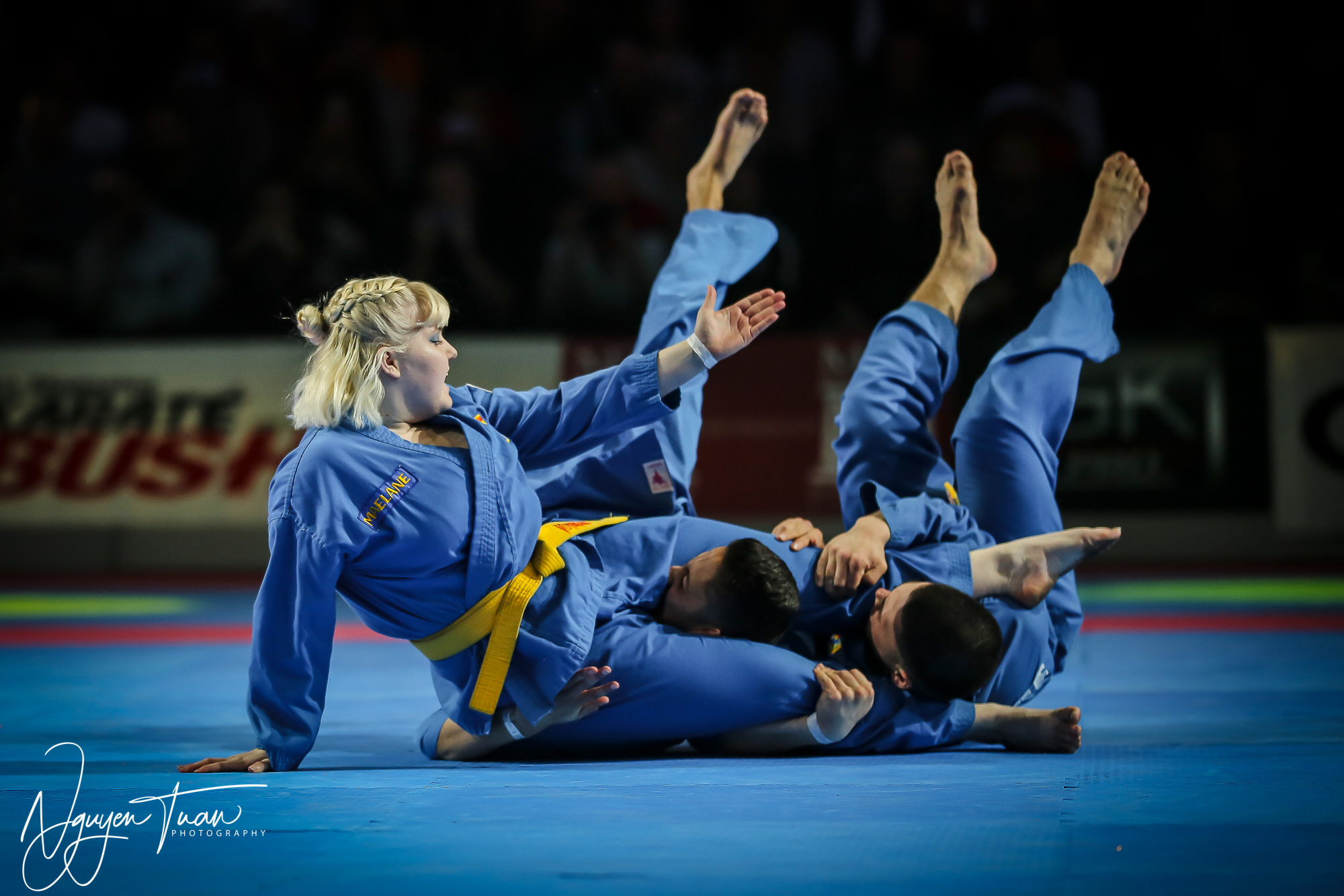 20190324 Festival des Arts Martiaux 2539